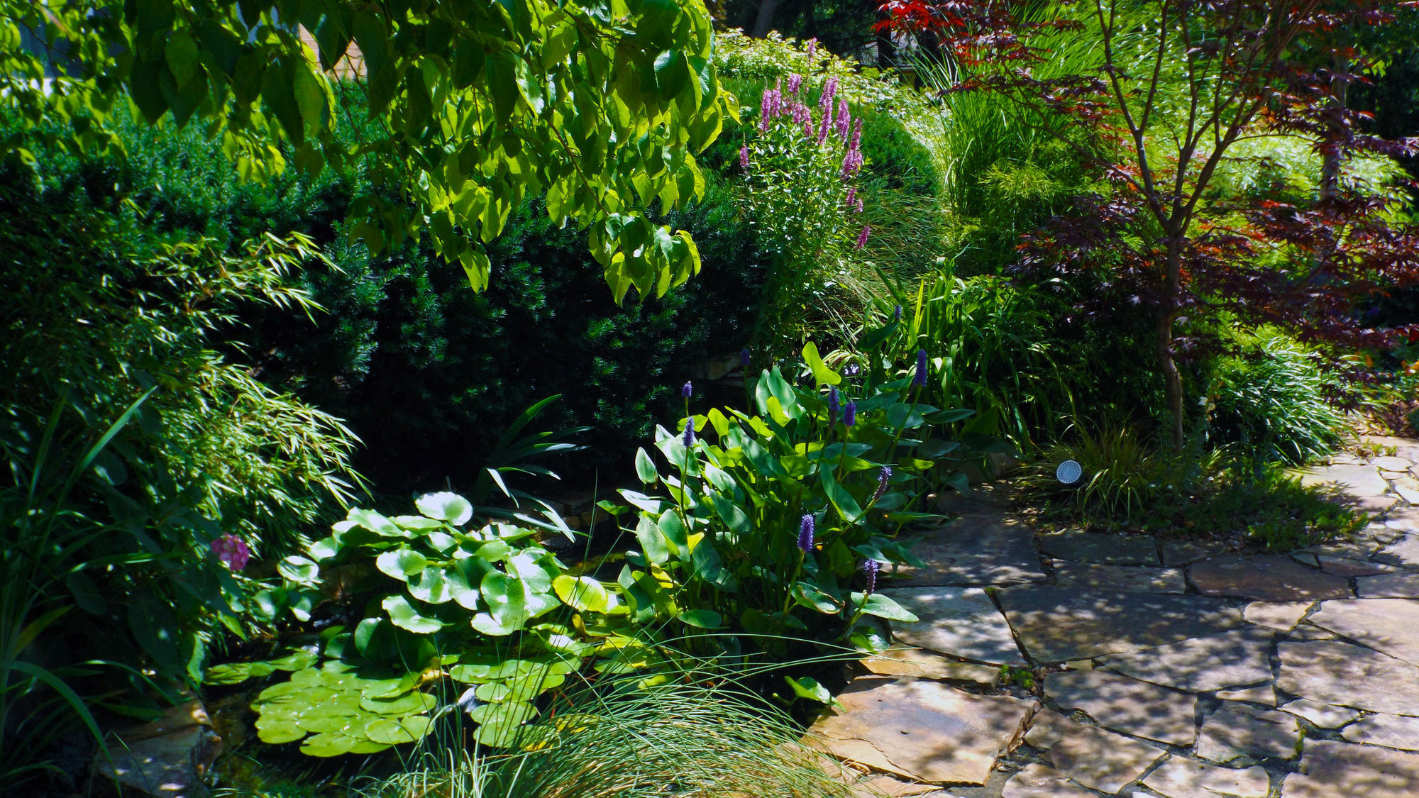Higher Ground Hotel Independence Dış mekan fotoğraf